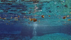 L'acqua delle Terme di Saturnia