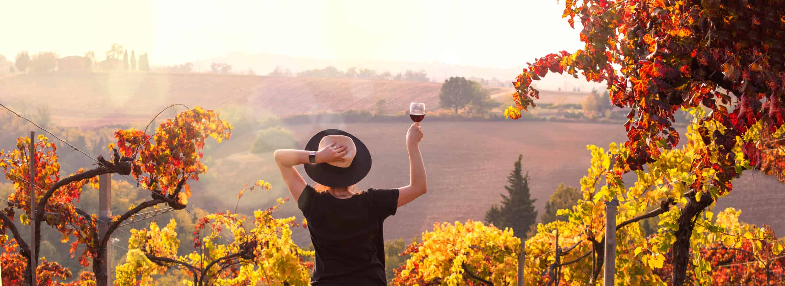 Wine experience in Tuscany