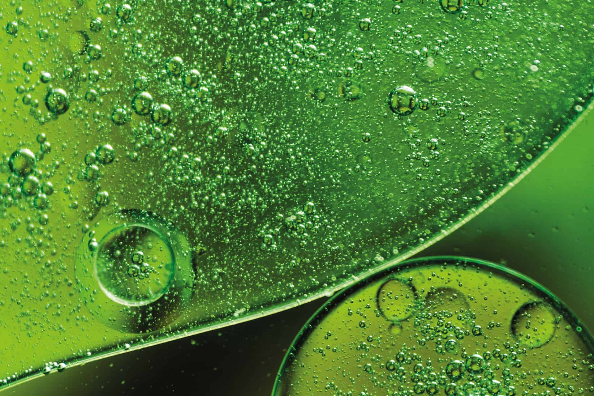 bright-green-bubbly-abstract-background_web